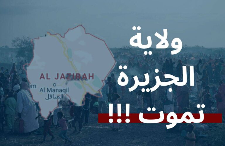 مواطن الجزيرة بين مطرقة مليشيا الجنجويد وسندان الجيش