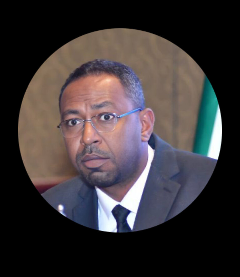 الإمارات تضع خمسة نقاط لاجل وقف دعمها لقوات الدعم السريع