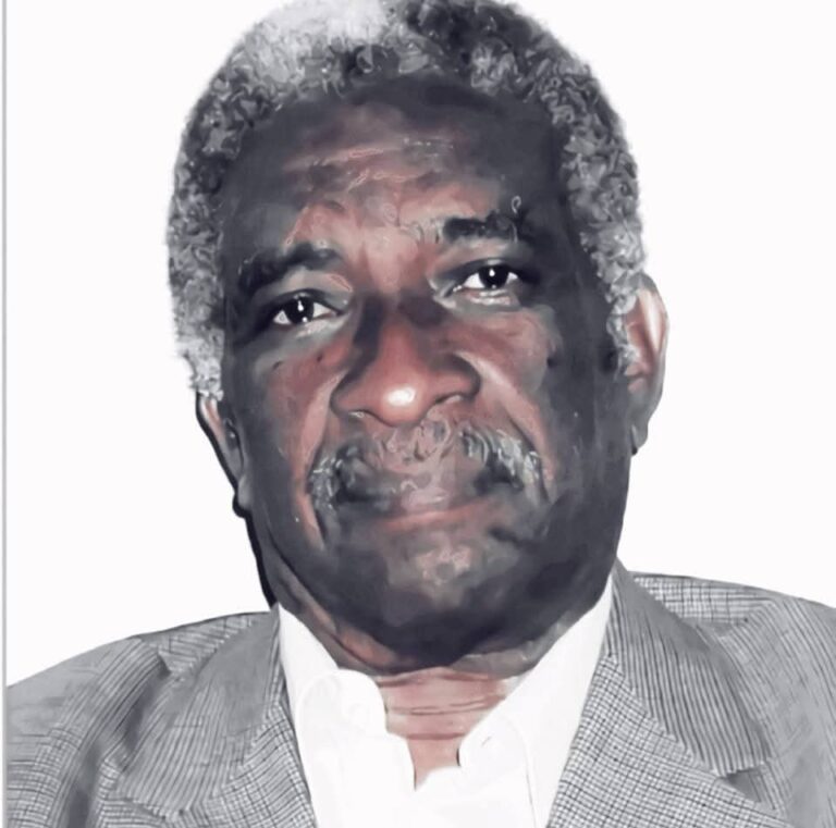 حين يقاتل الهامش دفاعًا عن المركز : قراءة نقدية في تحالف بعض الحركات المسلحة مع  الدولة القديمة